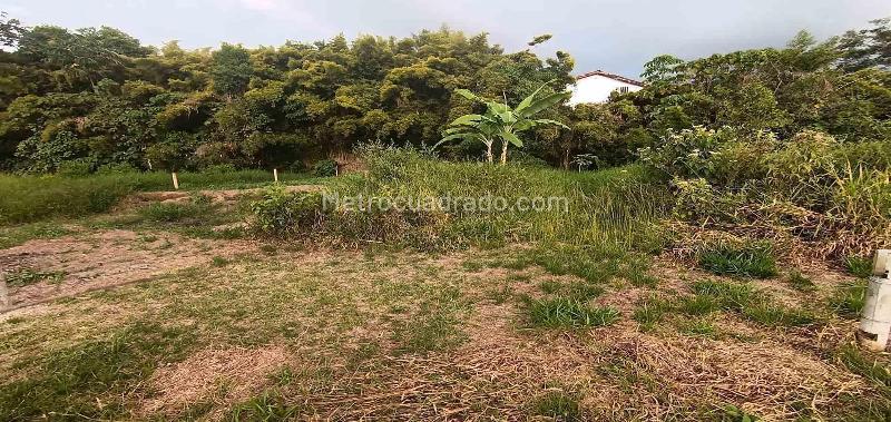 Lote en Venta, Urbanizacion Santana, Armenia - Más