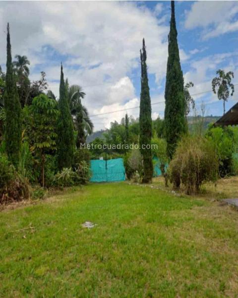 Lote en Venta, Las Pavas, Manizales - Vista 2