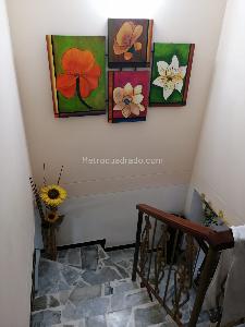 Casa en venta en Pereira, Pereira · foto 3 de 14
