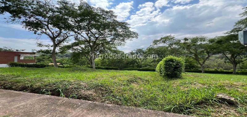 Lote en Venta, Km 46, Manizales - Vista 3