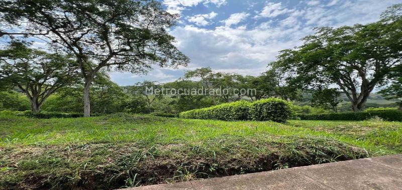Lote en Venta, Km 46, Manizales - Vista 4