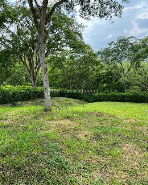 Lote en Venta, Km 46, Manizales - Vista 5