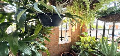 Casa en venta en Belmonte Bajo, Pereira · foto 2 de 17