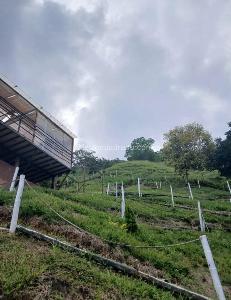 Casa en venta en Pereira, Pereira · foto 6 de 10
