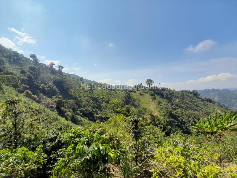 Lote en Venta, La Aurora, Manizales - Vista 2