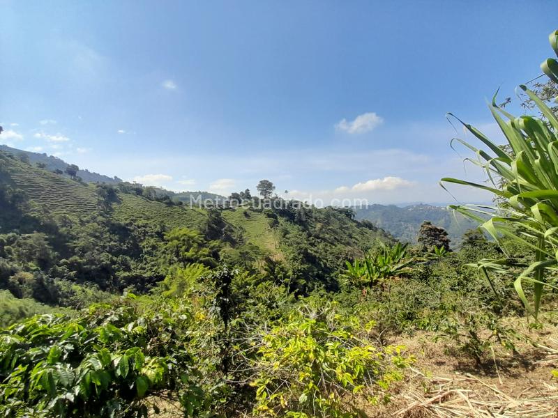 Lote en Venta, La Aurora, Manizales - Vista 3