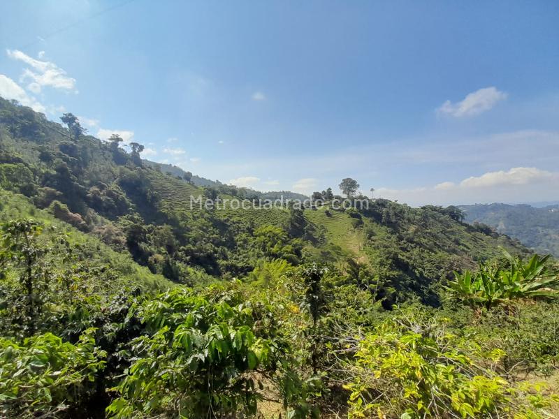 Lote en Venta, La Aurora, Manizales - Vista 4