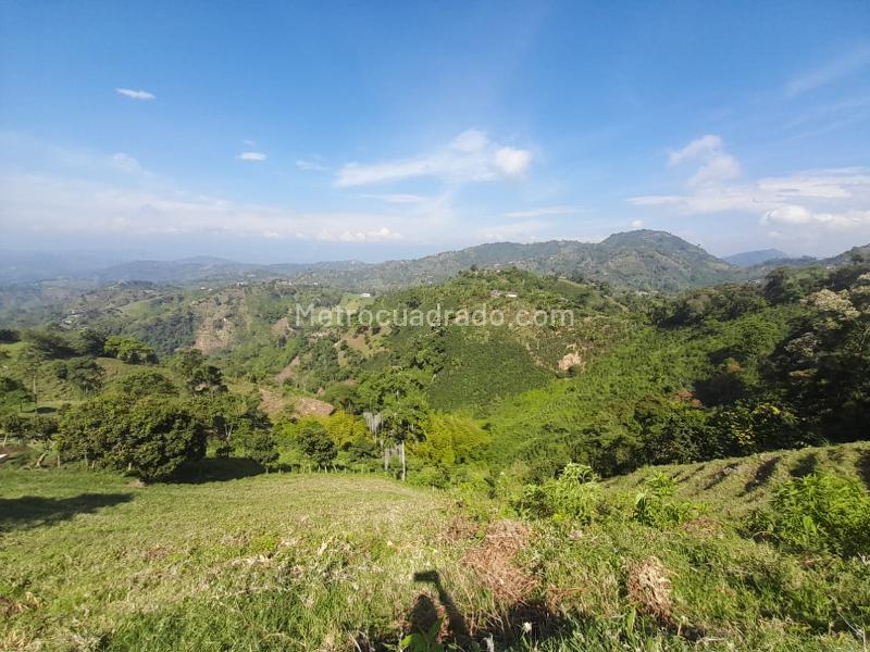 Lote en Venta, La Aurora, Manizales - Vista 5