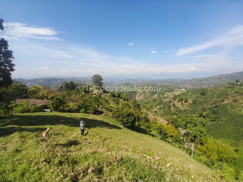 Lote en Venta, La Aurora, Manizales - Más