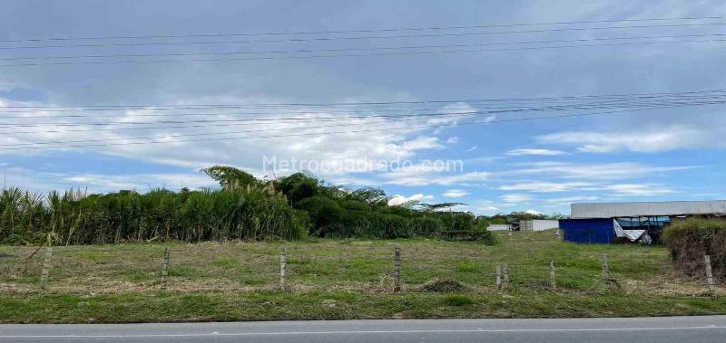 Lote en Venta, Av La Romelia El Pollo, Dosquebradas - Vista 2