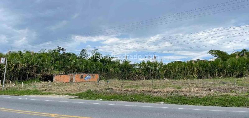 Lote en Venta, Av La Romelia El Pollo, Dosquebradas - Vista 3