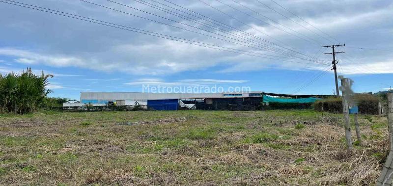 Lote en Venta, Av La Romelia El Pollo, Dosquebradas - Vista 5