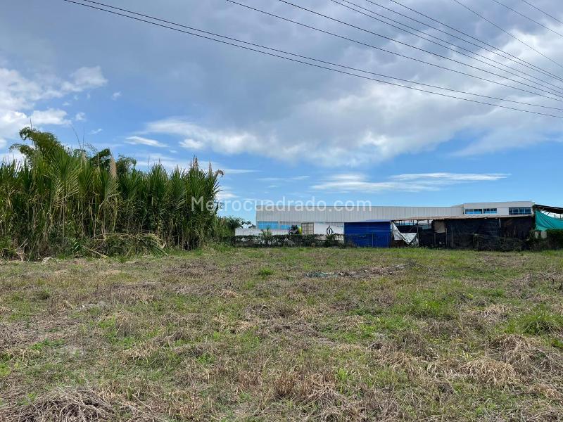 Lote en Venta, Av La Romelia El Pollo, Dosquebradas - Más