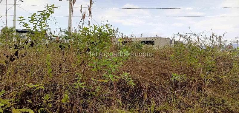 Lote en Venta, La Romelia, Dosquebradas - Vista 3