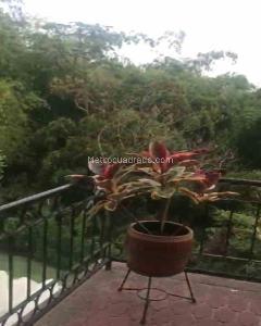 Apartamento en venta en Bosques De Palermo, Armenia · foto 18 de 20