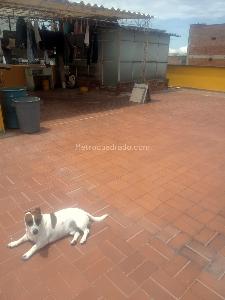 Apartamento de 5 alcobas en venta en San Antonio, Manizales, 200 m² · foto 10 de 20