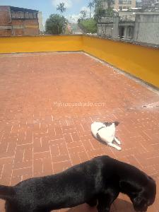 Apartamento de 5 alcobas en venta en San Antonio, Manizales, 200 m² · foto 17 de 20