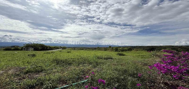 Lote en Venta, Cerritos, Pereira - Vista 3
