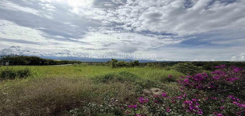 Lote en Venta, Cerritos, Pereira - Vista 4