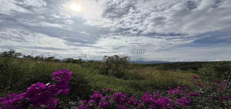 Lote en Venta, Cerritos, Pereira - Vista 5