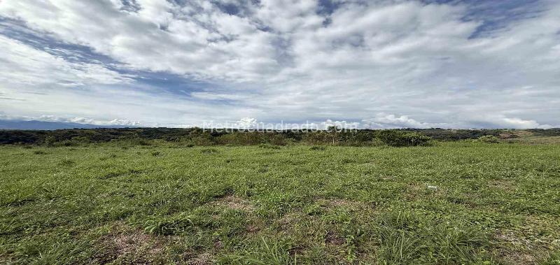 Lote en Venta, Cerritos, Pereira - Más