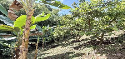Casa en venta en Combia, Pereira · foto 14 de 20
