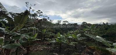 Casa en venta en Combia, Pereira · foto 13 de 19