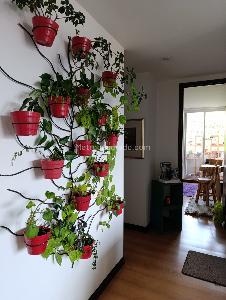 Apartamento en venta en Tejares, Manizales · foto 3 de 20