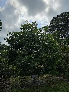 Casa en venta en Pereira, Pereira · foto 15 de 20