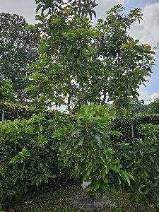 Casa en venta en Pereira, Pereira · foto 16 de 20