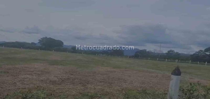 Lote en Venta, Vereda La Julia, Bogotá D.C. - Vista 4