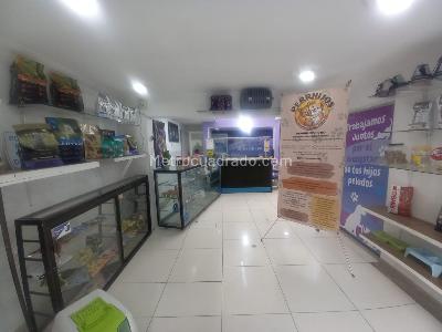 Casa en arriendo en San Antonio, Manizales · foto 12 de 20