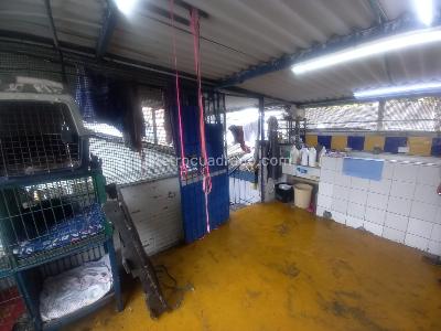 Casa en arriendo en San Antonio, Manizales · foto 20 de 20
