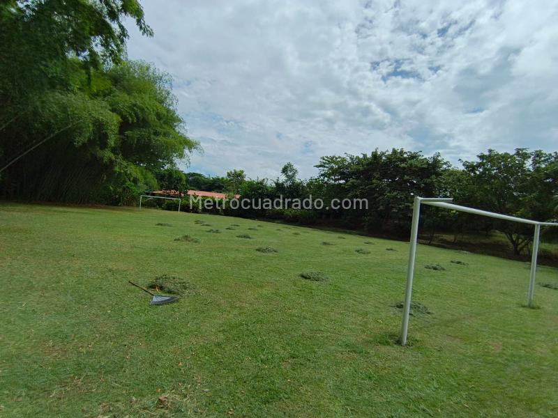 Lote en Venta, Condominio Campestre Reserva Del Campo, Manizales - Vista 5