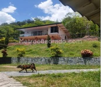 Casa de 3 alcobas en venta en Berlin, Ibagué, 766 m² · foto 2 de 20