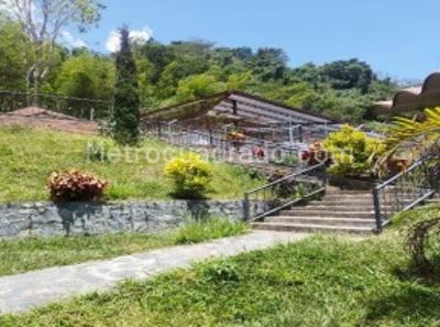 Casa de 3 alcobas en venta en Berlin, Ibagué, 766 m² · foto 4 de 20