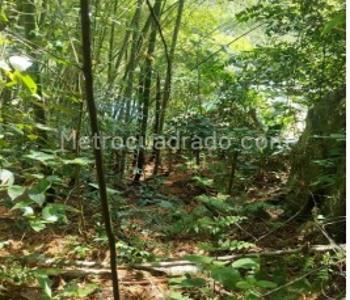 Casa de 3 alcobas en venta en Berlin, Ibagué, 766 m² · foto 5 de 20