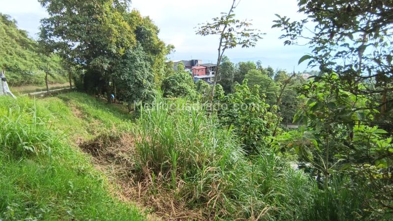 Lote en Venta, Centenario, Manizales - Vista 3