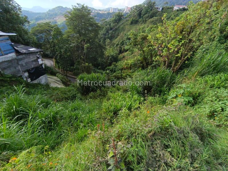 Lote en Venta, Centenario, Manizales - Más