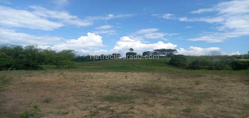 Lote en Venta, Cerritos, Pereira - Vista 3