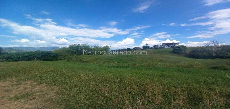 Lote en Venta, Cerritos, Pereira - Más