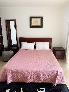 Casa de 5 alcobas en venta en Avenida Centenario, Armenia, 700 m² · foto 10 de 20