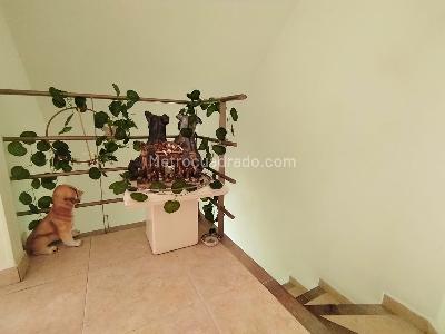 Casa de 3 alcobas en venta en Norte, Armenia, 105 m² · foto 11 de 20