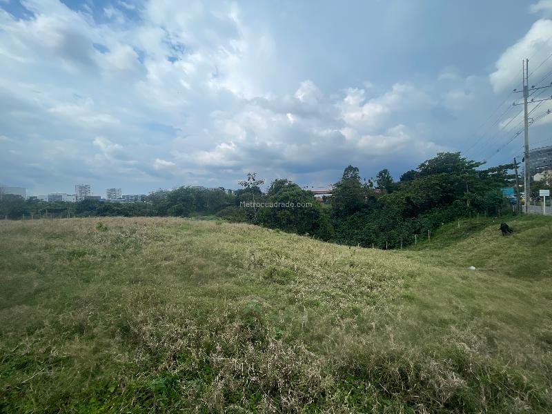 Lote en Venta, Avenida Centenario, Armenia - Vista 5