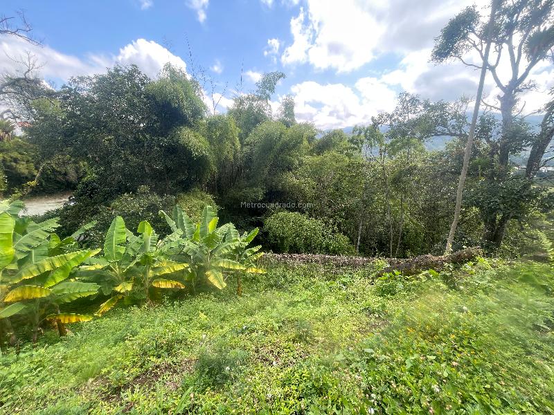 Lote en Venta, Av Bolivar, Armenia - Vista 2