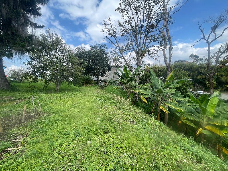Lote en Venta, Av Bolivar, Armenia - Vista 3