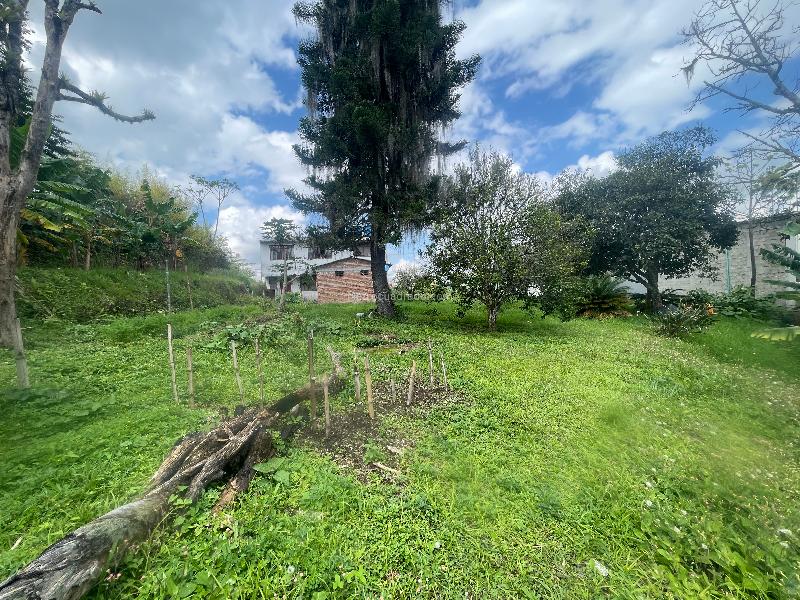 Lote en Venta, Av Bolivar, Armenia - Vista 4