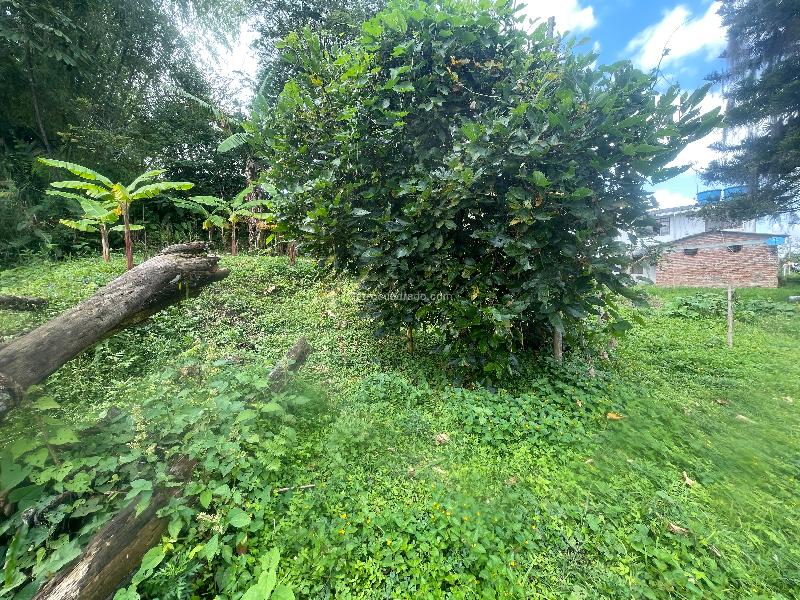 Lote en Venta, Av Bolivar, Armenia - Vista 5