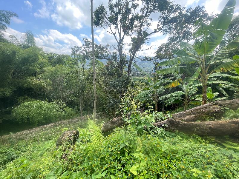 Lote en Venta, Av Bolivar, Armenia - Más