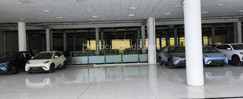 Local Comercial en Arriendo, Avenida Alberto Mendoza, Manizales - Vista 5